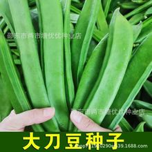 ����󵶶��N���ݴ����ļ��＾�͟��ļ��߲˒��������L�󵶶��N��