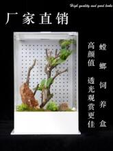 高款鸣虫饲养盒造景别墅鸣虫盒昆虫盒跳蛛蝈蝈螳螂观赏饲养盒