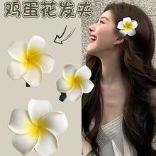 沙滩海边仿真头花鸡蛋花发夹旅游渡假景区新娘头饰发饰批发手工