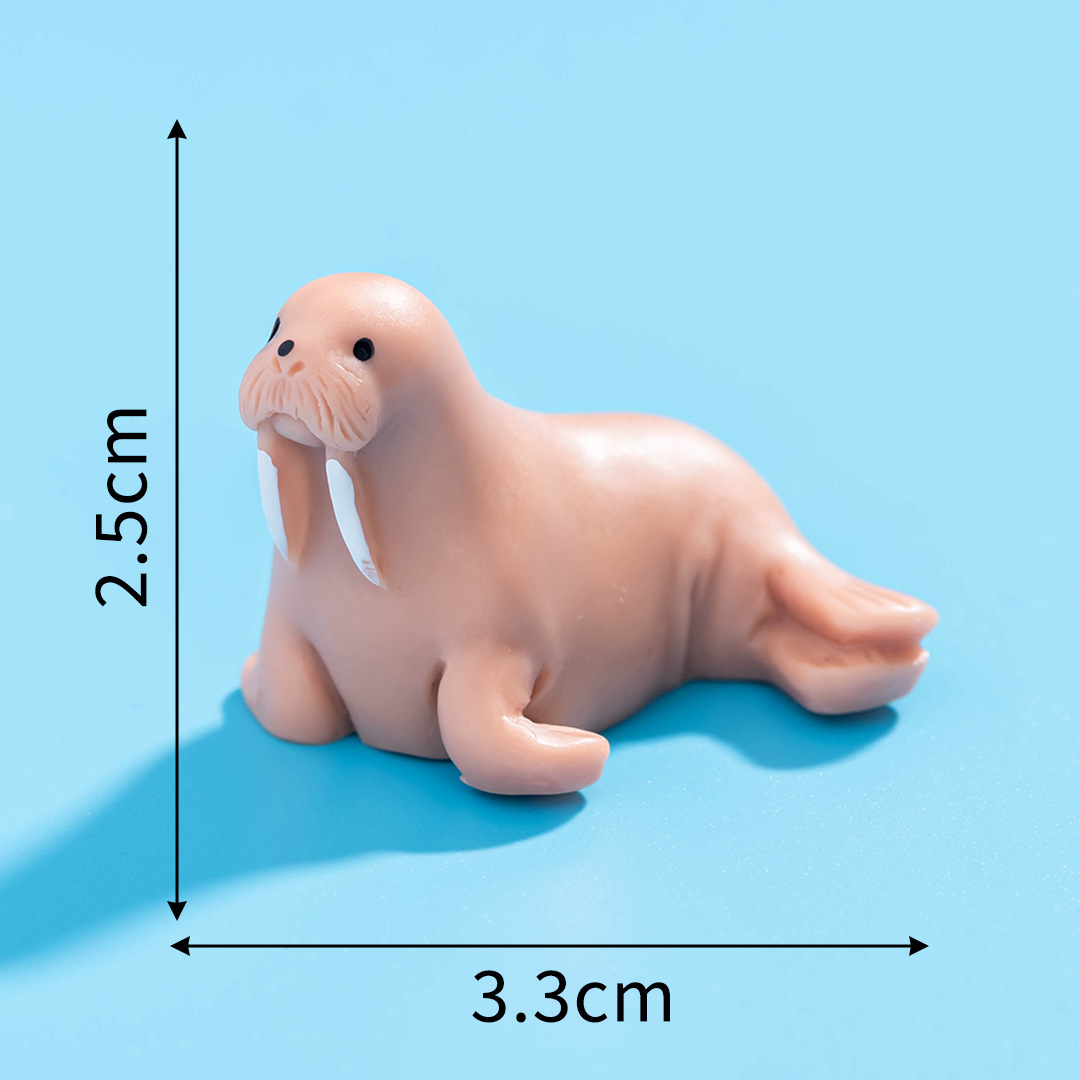 바다사자 13호