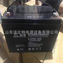 늳6-GFM-100C 12V100AH/20HR ֱ UPSԴ