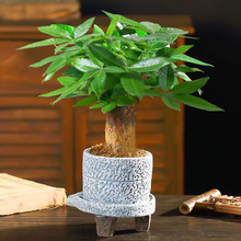 �lؔ���҃�С���ԾGֲ����ˮ��ֲ��G�}�����ļ����B���k��������