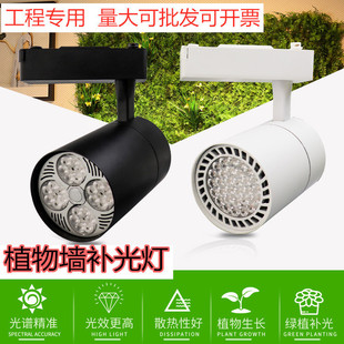 Full Spectrum Led Plant Wall Growth Supplementary Photosynthesis Lamp Green Plant Wall Engineering Track Ceiling Spotlight