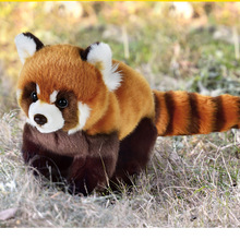 国家地理毛绒玩具考拉鳄鱼仿真动物玩偶毛绒玩具公仔抱枕小孩礼物