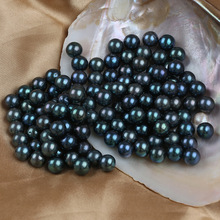 新货天然淡水珍珠圆珠黑色圆珠6-10mm黑珠珍珠散珠DIY手工材料