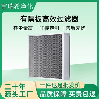 生物洁净室滤芯有隔板高效过滤器 无尘车间用h13高效空气过滤器