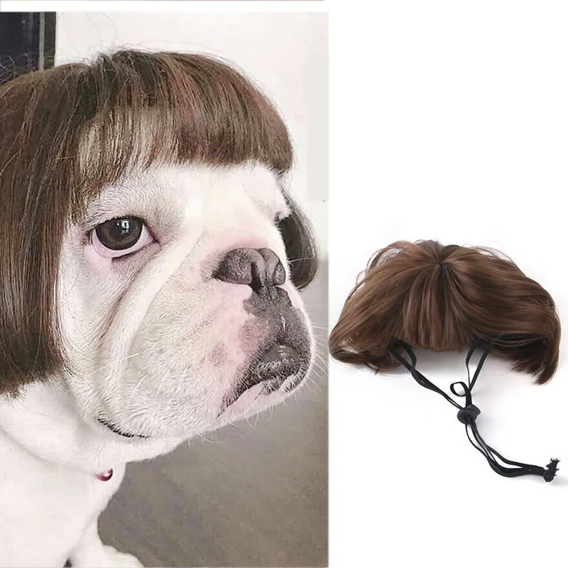 Peruca para mascotas peluca para mascotas explosiva cabeza Qi franja pequeña trenza lucha Halloween peluca joyas para mascotas