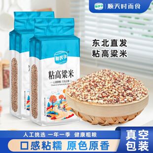 ��հ��bŴ�������r�����ז|��ճŴ�������������ᄾƼtŴ������