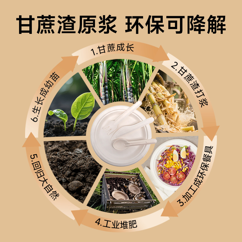 Pulpa de azúcar de caña de azúcar desechable platos cuadrados ecológicos biodegradables compostables platos cuadrados domésticos para fiesta de picnic