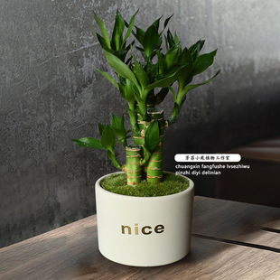 ���F���҃ȃ����՚�Gֲ�lؔ���k����С�����D�\ֲ������ļ�����