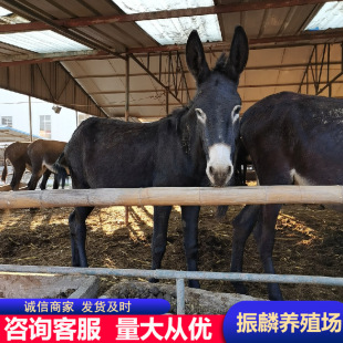 ���H��ʲôƷ�N�ı��^��Щ �����H�xһ�^200���С�H�r��