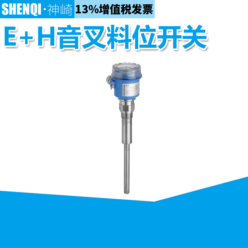 一体化音叉开关FTM20-4A45A德国E+H恩德斯豪斯