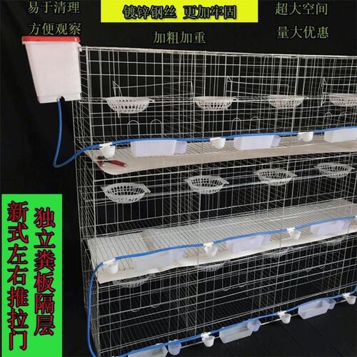 Pigeon cage breeding cage pigeon cage 16-bit meat breeding pigeon breeding cage 12-bit matching cage home pigeon cage