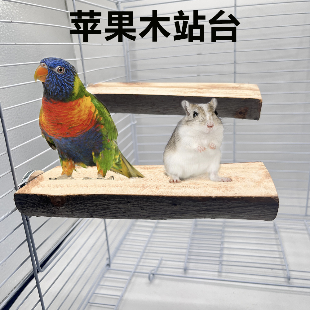 Marco de la estación de madera de loro, plataforma de madera de manzana, poste de la estación de pájaros, hámster, juguete de la boca de molienda Totoro, trampolín de madera maciza