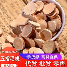 产地直供五指毛桃批发 五指毛桃根五指牛奶煲汤泡酒五爪龙牛奶根