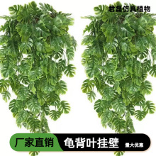 �羳���������ֲ�걳Ҷ�ڹ��������ڵ����ٻ������걳����������