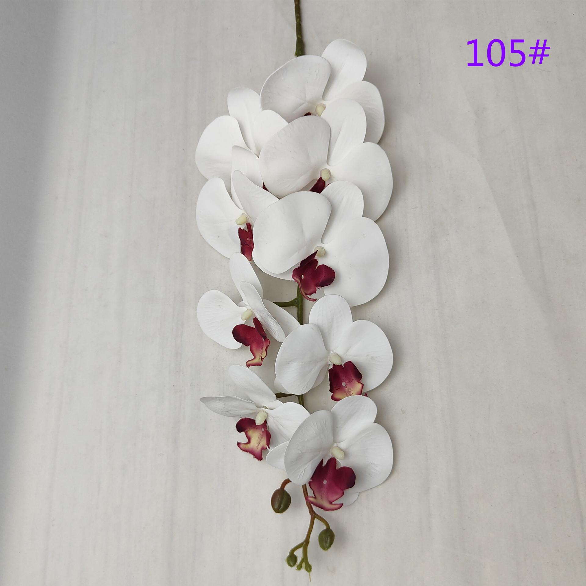 IMG20230509162856_副本