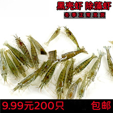 ��ˮ���r�����r�ښ��r�r����r�r�r���w��ˮ�ͻ�ѻ��r�坍�^�p�r