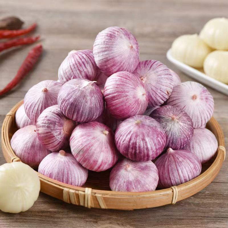 Purple single garlic wholesale Yunnan Garlic fresh Garlic fresh Garlic Garlic Full container Vegetables wholesale