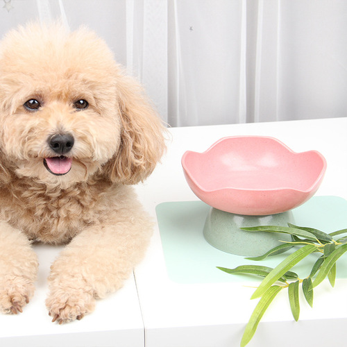 Pet bowl solid color lace high neck protection cat food bamboo fiber dog bowl double bowl utensils rice basin two-in-one manufacturer wholesale