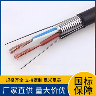 Source factory outdoor single-mode optical cable national standard line GYXTW-8B1 center bundle tube light armored optical cable