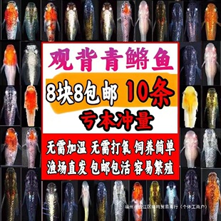 �^�����F�~�^�p�~�û������ˮ�~С���\�����~��ˮ�~���w�ŷ���