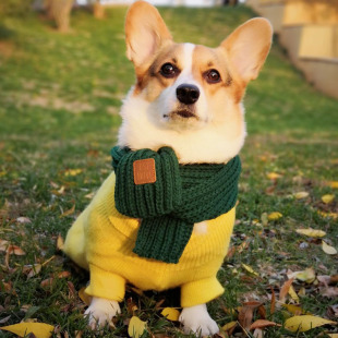 Corgi Scarf Cat Scarf Pet Chai Dog Fadou Bears Teddy Dog Knitted Wool Scarf Dog Warm Winter