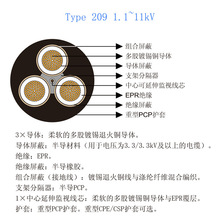 �Ĵ������V��AS/NZS ��Ͳ��ҷ��|Type 209 1.1~11kV