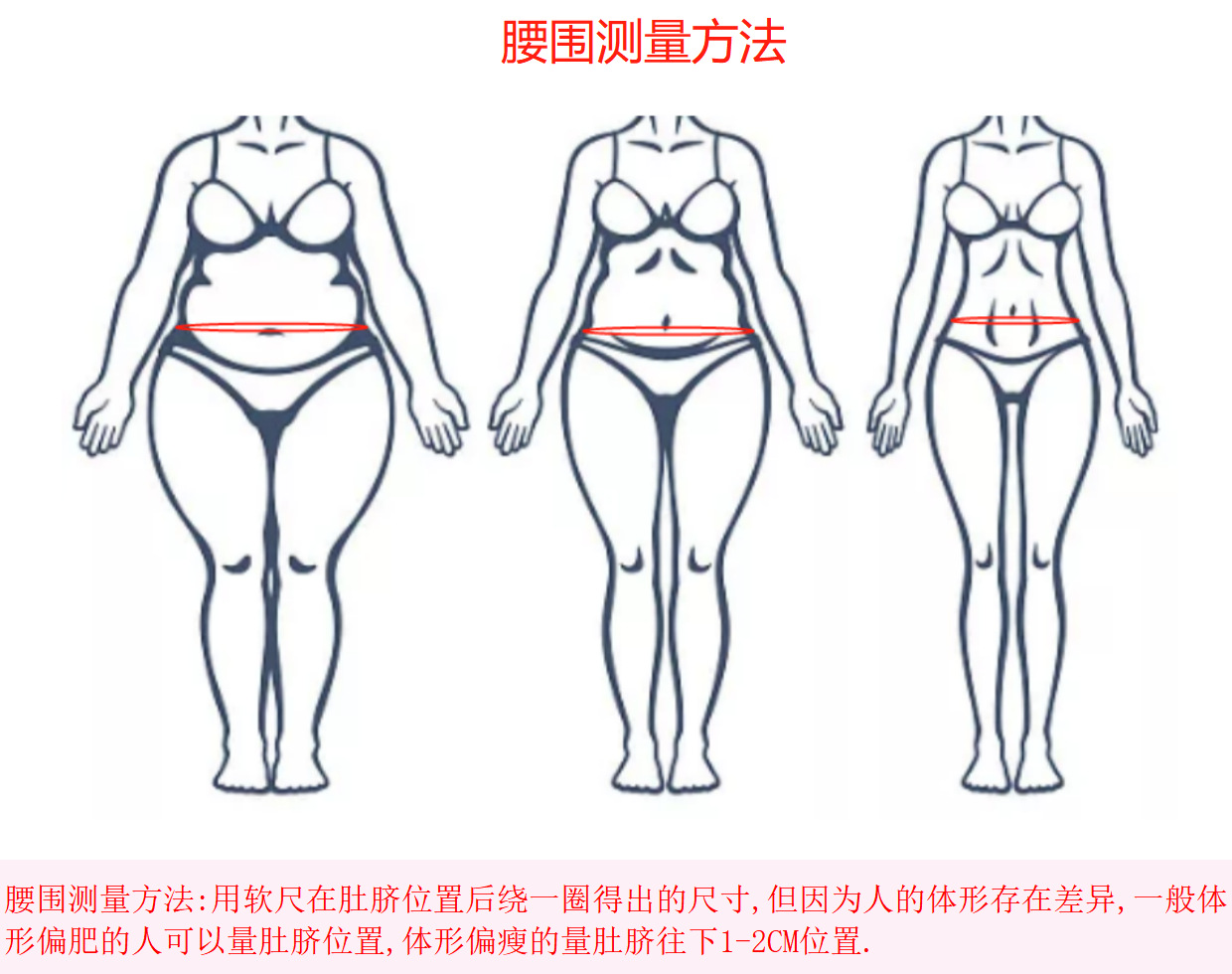 腰围测量方法