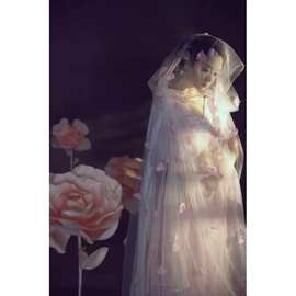 桃花仙女披肩透明网纱斗篷带帽子披风结婚拍照汉服公主美人贵妃装