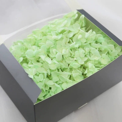 Вечной жизни глиняный горшок гимнастика 20G День Святого Валентина DIY цветочный материал Средняя лотос Строка Производитель оптом большой объем