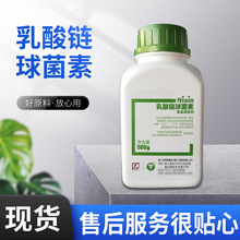 厂家供应 食品级乳酸链球菌素 乳酸菌肽食品保鲜剂防腐剂