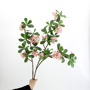 �F؛���� ���滨 С��֦��ͩ�����Ļ� �ѻ� �һ��zӰ�����b廨