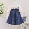 Autumn denim skirt, lace children's small princess costume, 2023 collection, puff sleeves, long sleeve