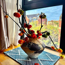 小南瓜干花迷你小南瓜干果油画拍摄花材自然干植物家居装饰插花