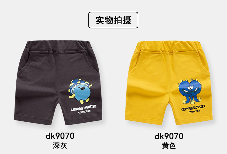 dk9070_07.jpg