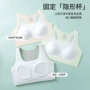 三阶段运动少女学生文胸