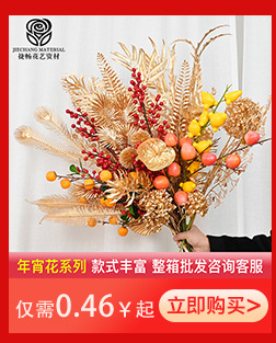 Z-_图片素材_00包装设计类_2024_捷畅详情_圣诞节&