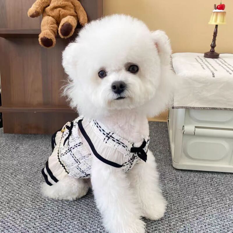 Popular Source Factory Wholesale Small Fragrance Pet Clothes Harness Set with Traction Rope