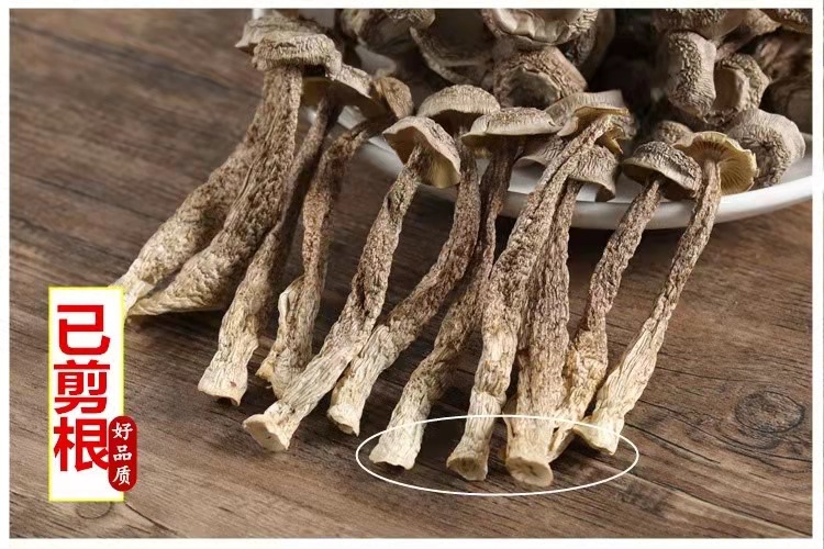 微信图片_20220212185602