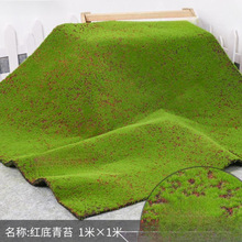 ֲƤֲ���\̦��̦�\΢���^��Ƥ΢�^�Ӱ��g���ĵ����b�