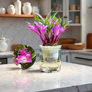 �FƤʯ������ˮ�������_���B�ļ��҃���ɫ�Gֲ����Ⱦɫʯ���m��ˮ