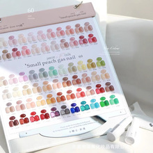 ��ȋIС�Ƕ�60ɫ��͸ܛ�ǹ��u�����z���b2025���������z�S�����l