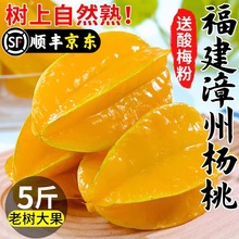 福建漳州甜杨桃5斤新鲜水果应当季红扬桃五角星阳桃摘整箱包邮代