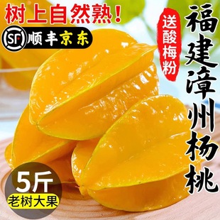 �������������5�����rˮ���������t�P����������ժ������]��