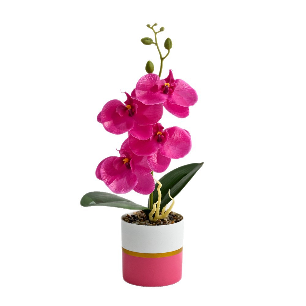 4 flores se sienten Phalaenopsis bonsái simulación de moda maceta flores falsas decoración del hogar fotografía de flores artificiales flores de bodas pequeñas image 6
