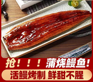 ������500g�l�������џ��H���~�ӟἴʳ���r�W�t̼���������Ϻ���