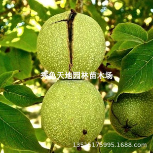 �޽��|��һ̖��Ƥ���Ҙ�����ͺ���Ƥ���Ҙ����ϱ���ͥԺ���Ե���