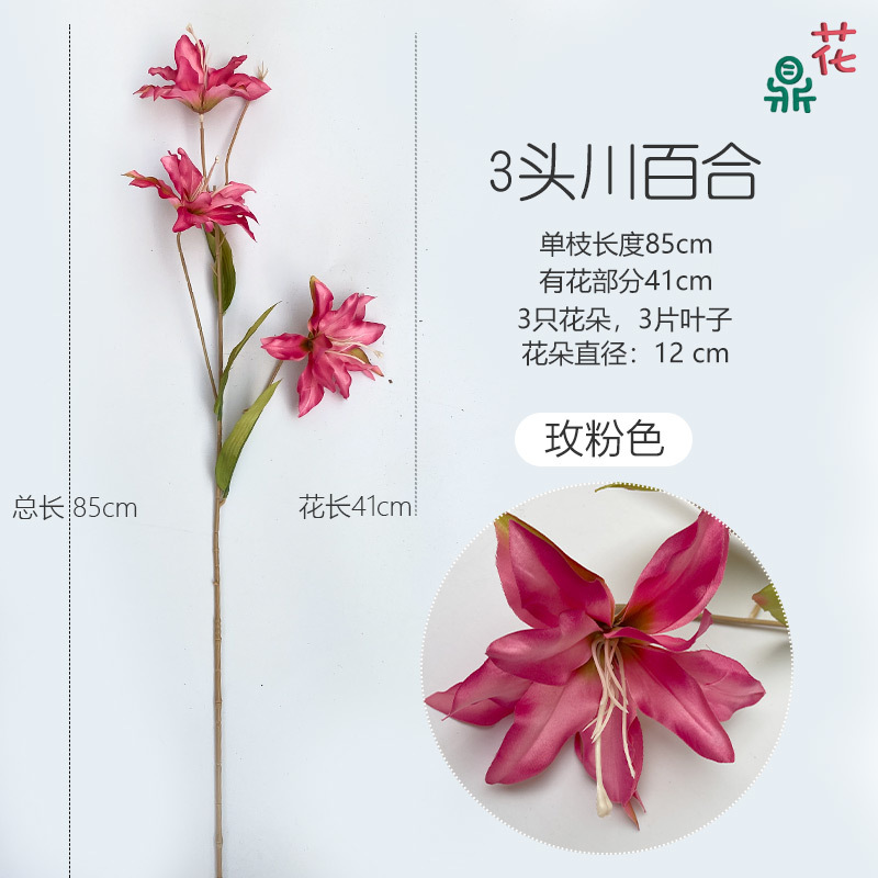 3 사천 릴리 로즈 핑크