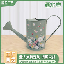 厂家批发洒水壶艺阳台盆栽植物浇花壶家庭园艺浇菜铁皮浇水壶现货